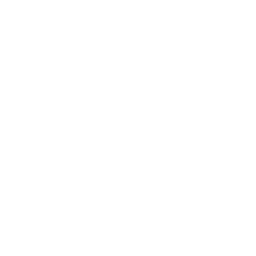 Tire Icon