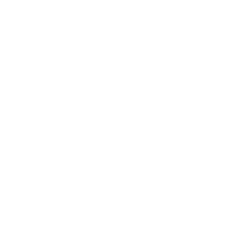 Brakes Icon