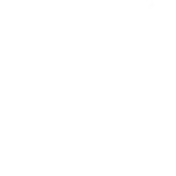 Suspension Icon