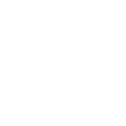 Information Icon