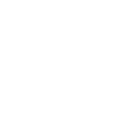 Google Icon