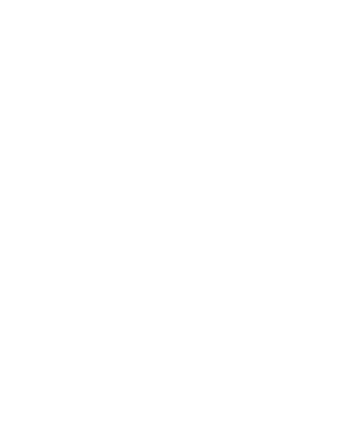 Porshe Icon
