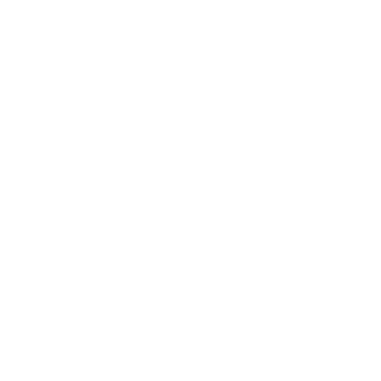 Volkswagen Icon