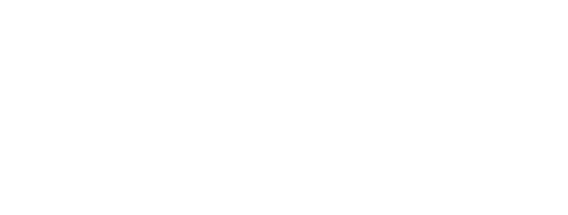 Ford Icon