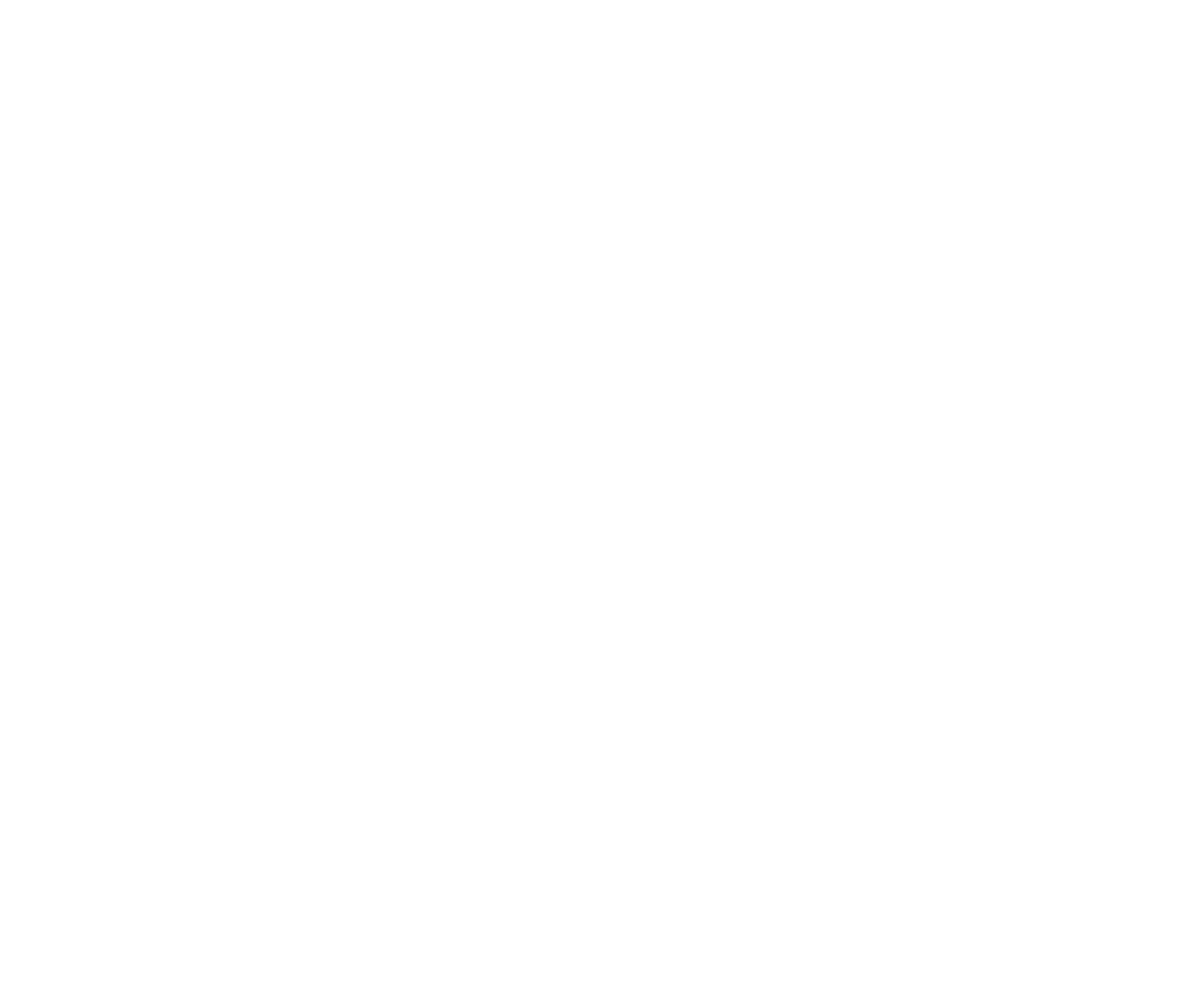 Toyota Icon