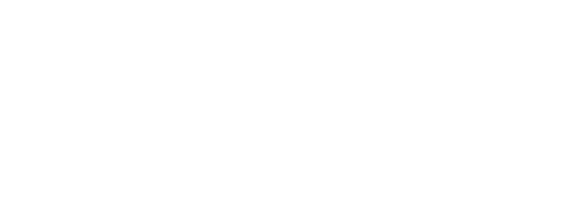 Audi Icon