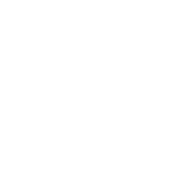 Car Icon