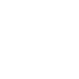 Mechanic Icon