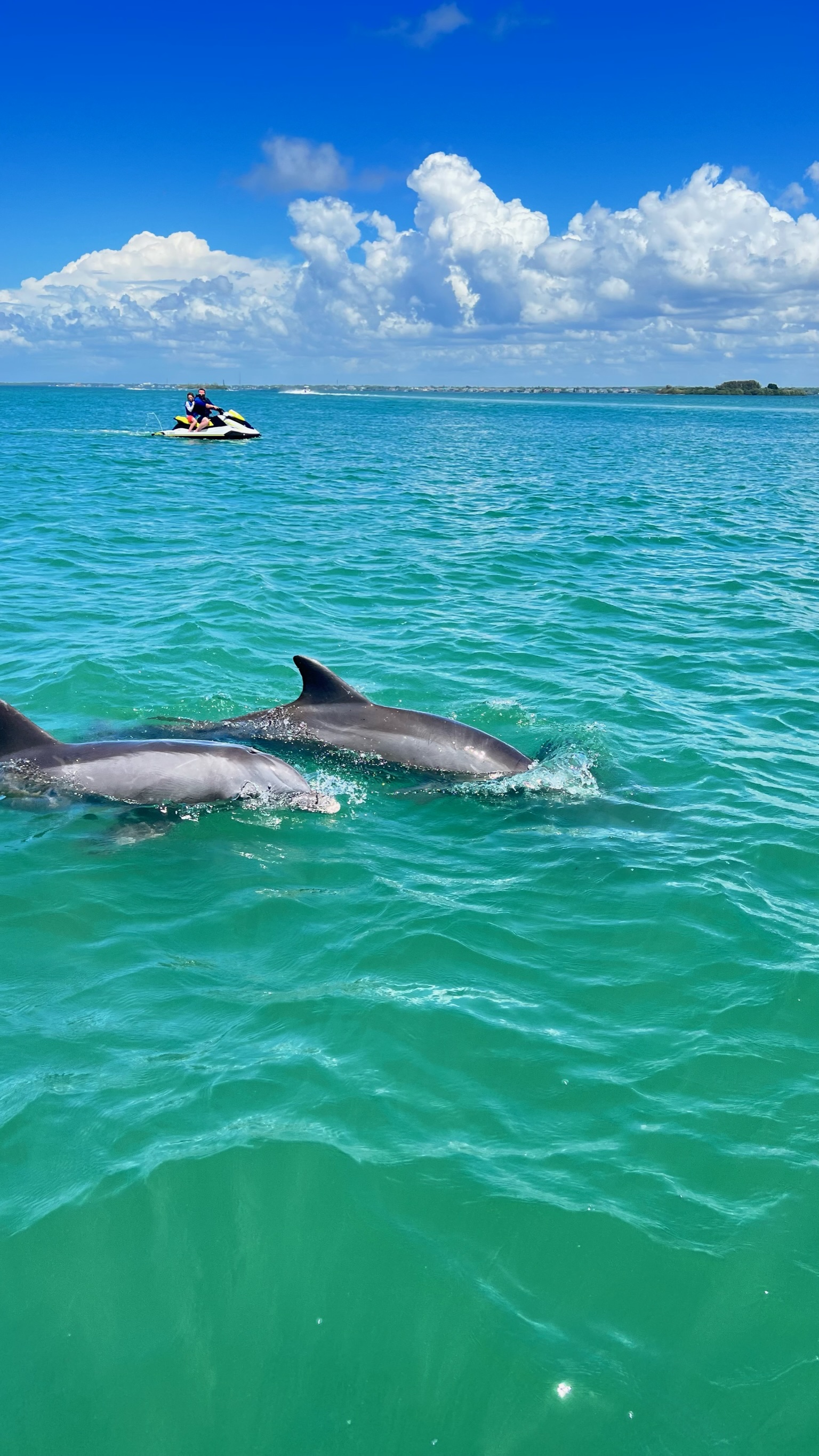 Group kayaking adventure through the serene waters of Clearwater Beach