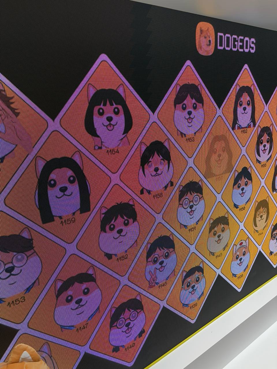 DogeOS live Gallery