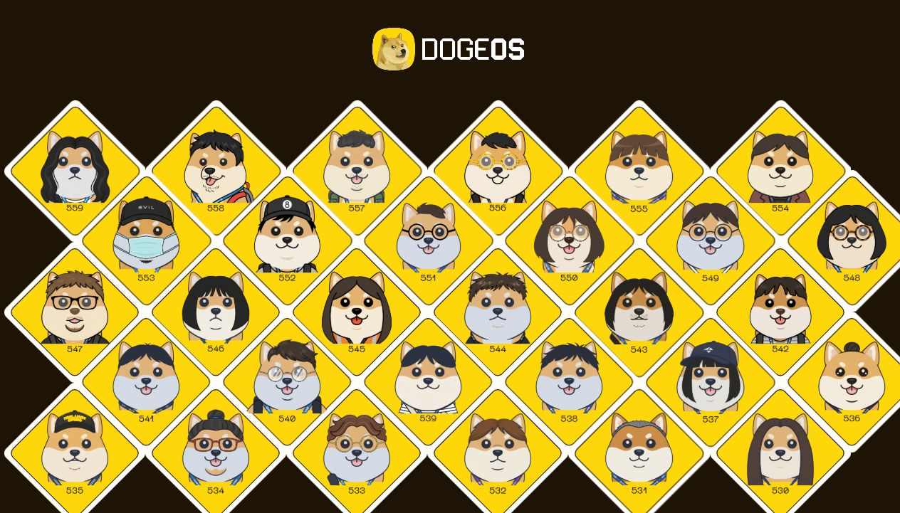 DogeOS live gallery