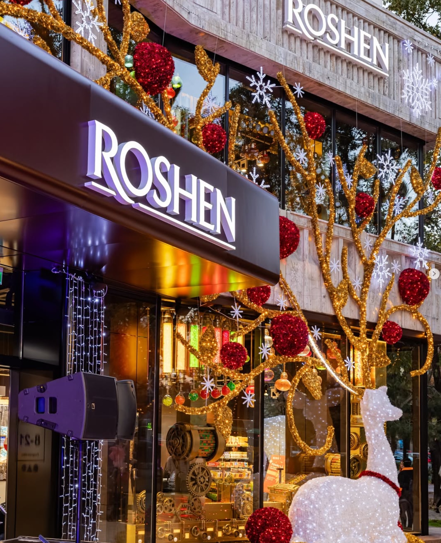Roshen AI Photo booth