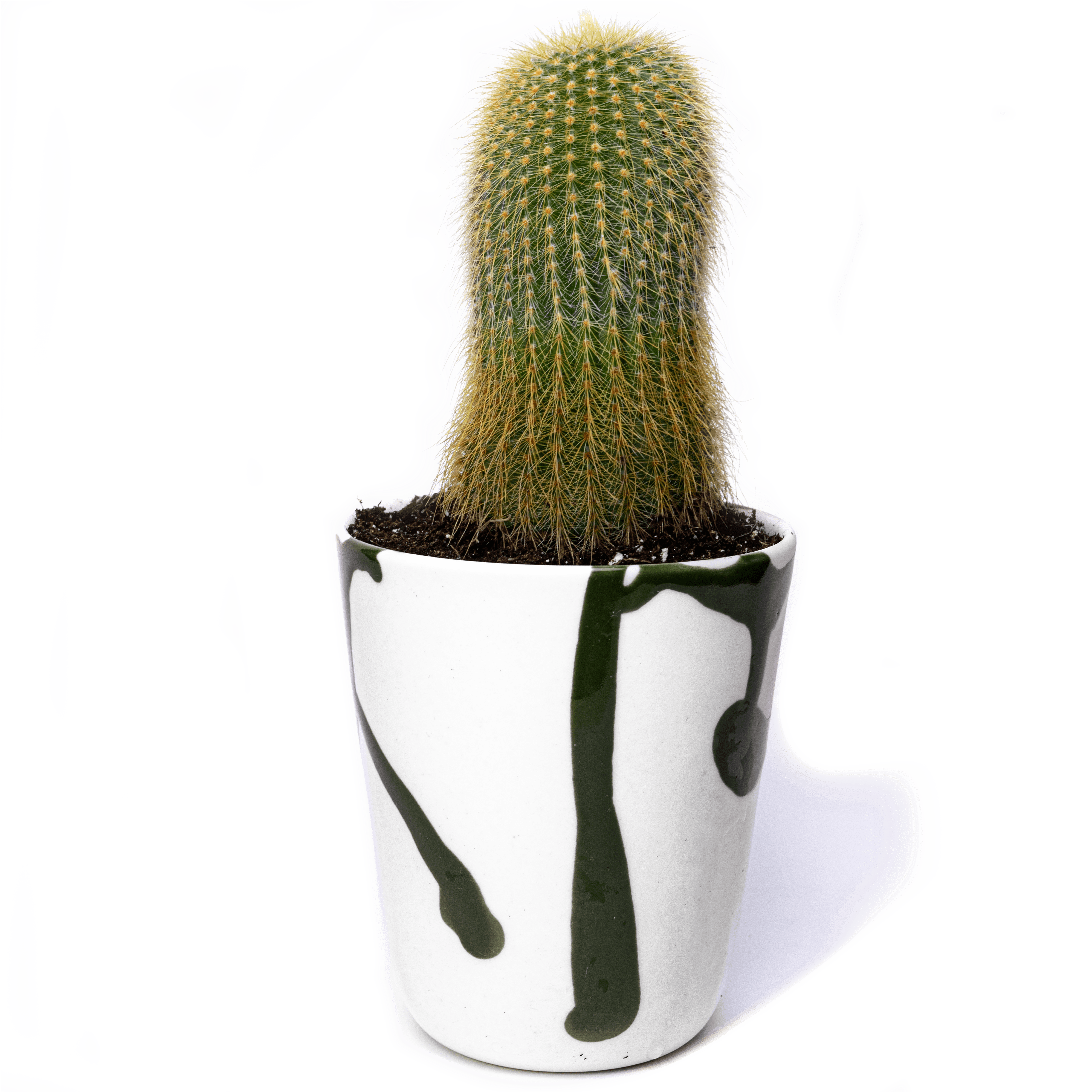 green planter