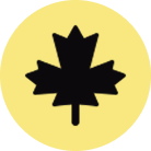 Maple Leaf Icon
