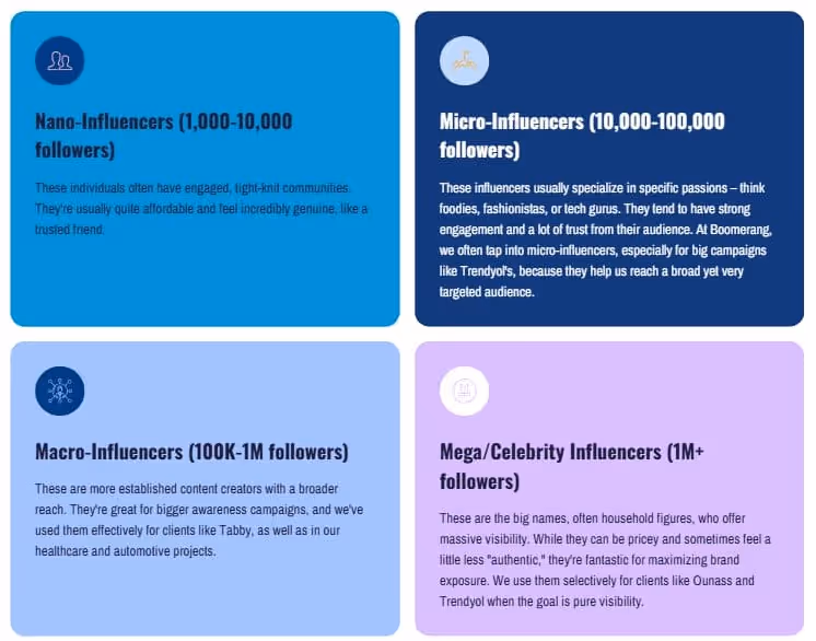 infographic for categories of influencers in campaigns