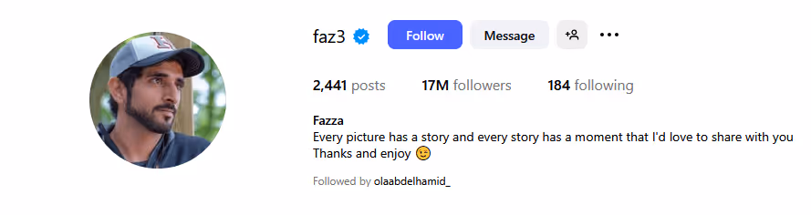 profile screen for mega influencer Sheikh Hamdan bin Mohammed bin Rashid 