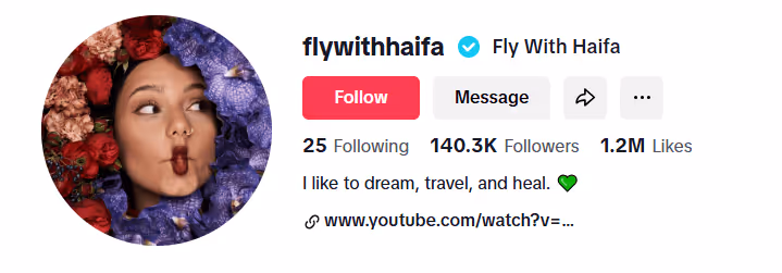 screen shot for TikTok account for travelling content
