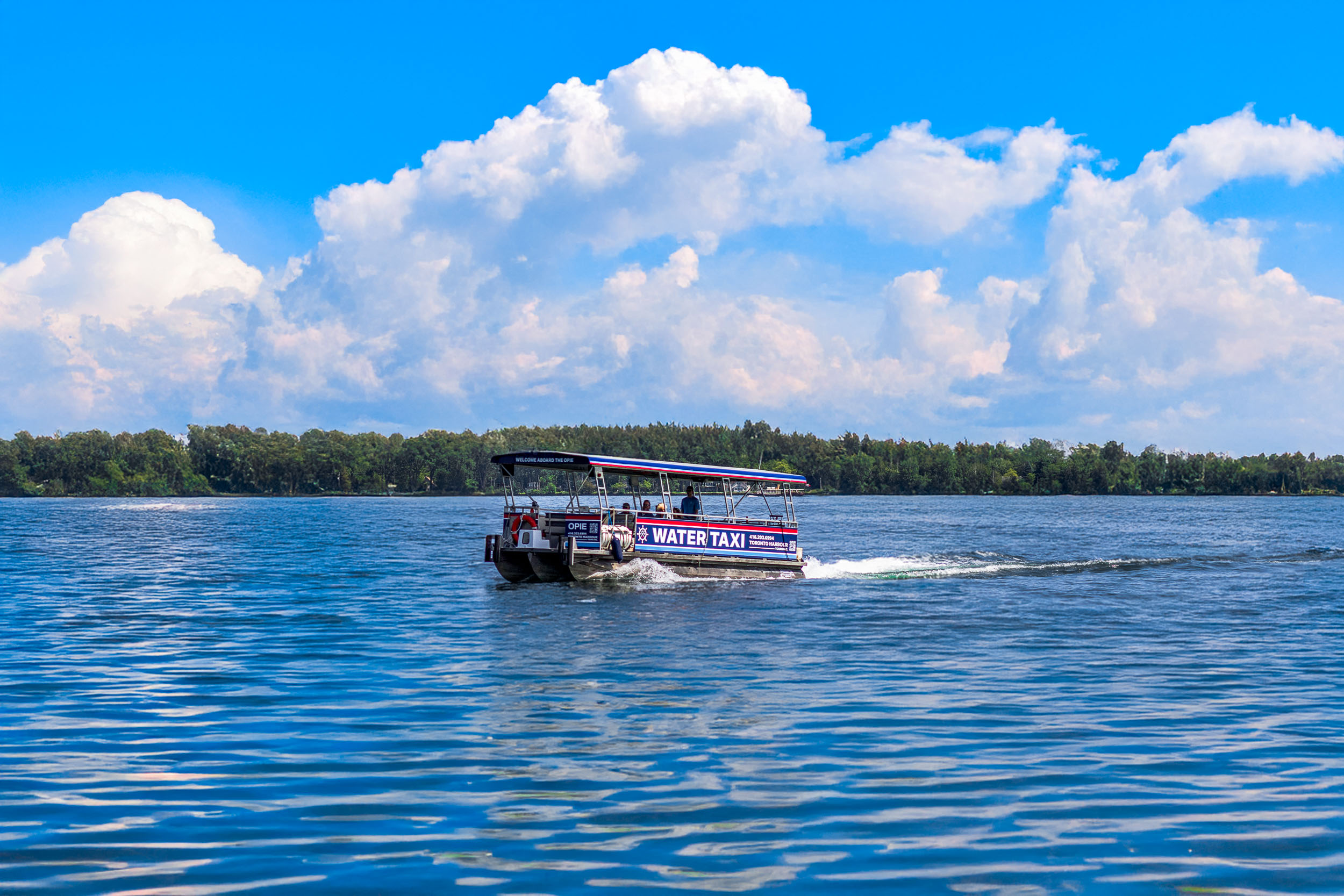 Dock on water with green trees and grass