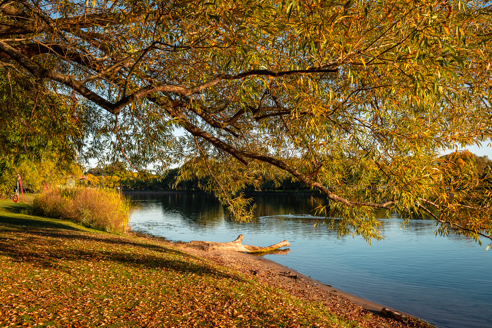 View of CN tower from the inside of a boat