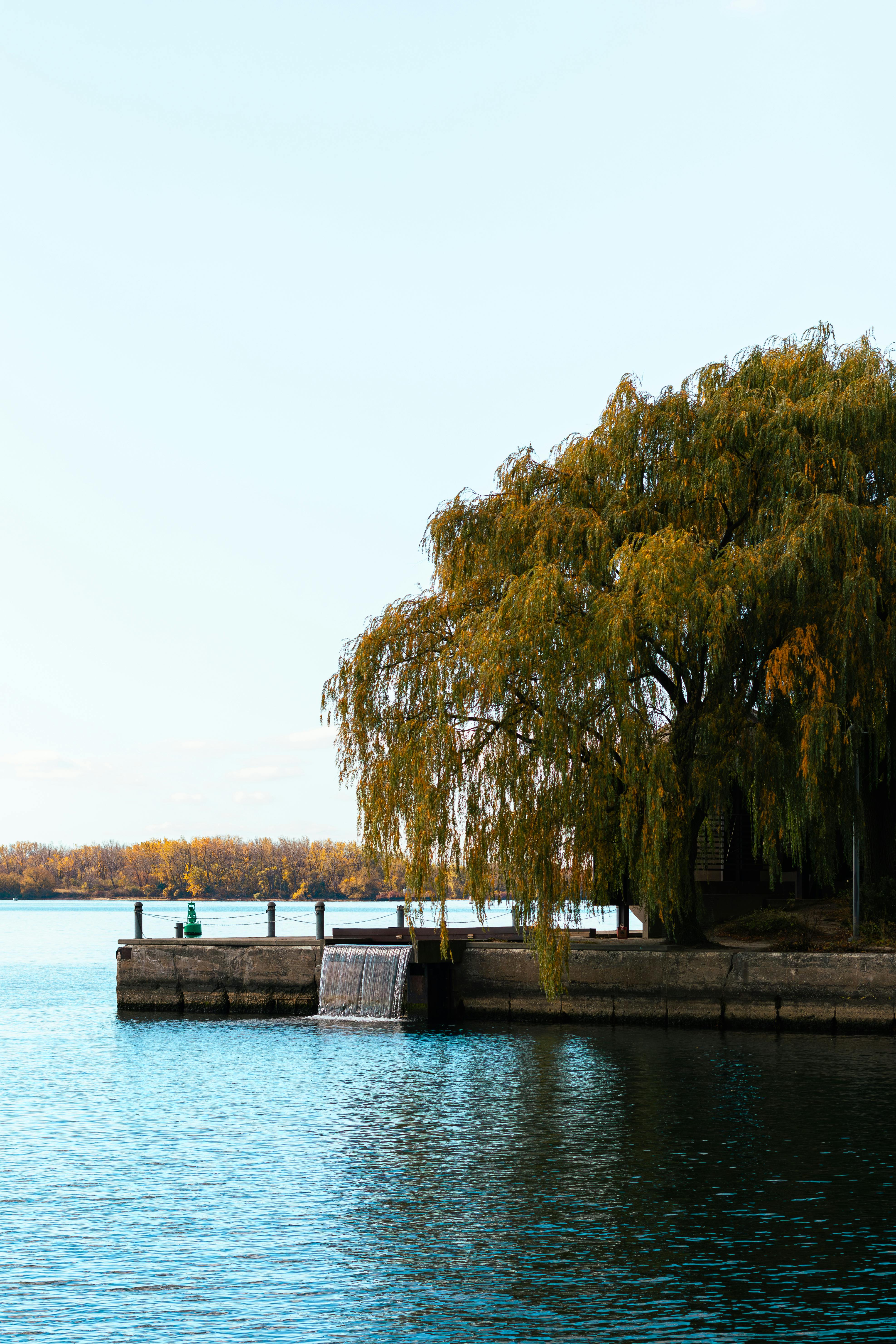 Buildings on the water front