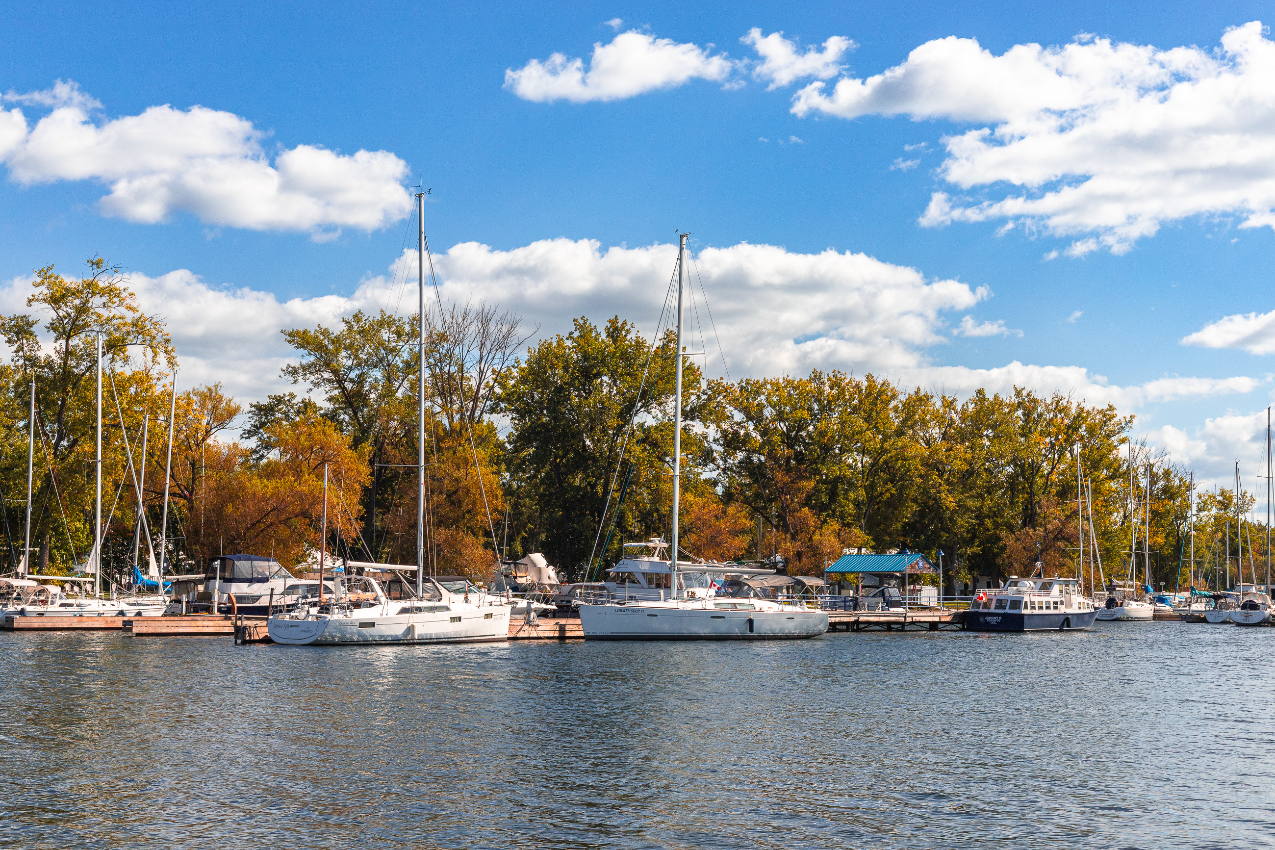 Couple sitting on bench with CN tower in the background
