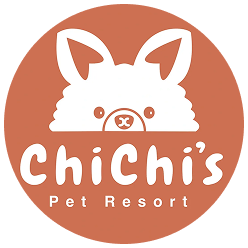 The logo for ChiChi's Pet Resort, featuring a cute, stylized white dog's head with prominent ears peeking over a curved line, set within a rustic orange circular background. The words "ChiChi's" are in a playful white font, with "Pet Resort" in smaller text below it.