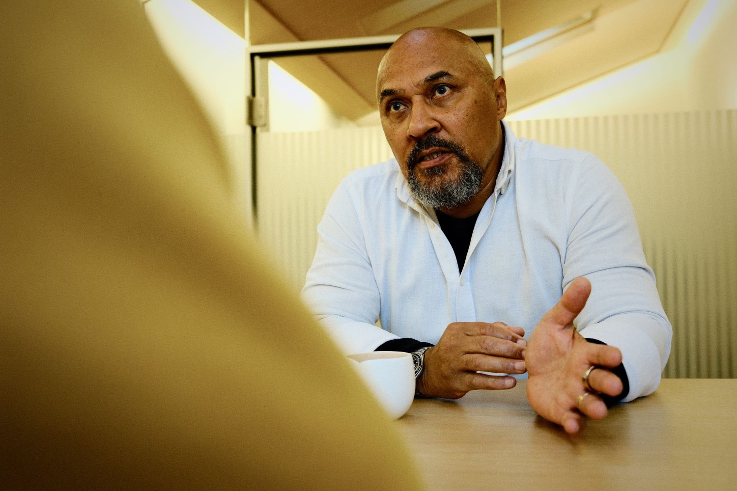 Portrait Rudolf Schmid