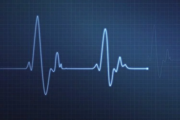 Am Puls des Nachfolgemarktes