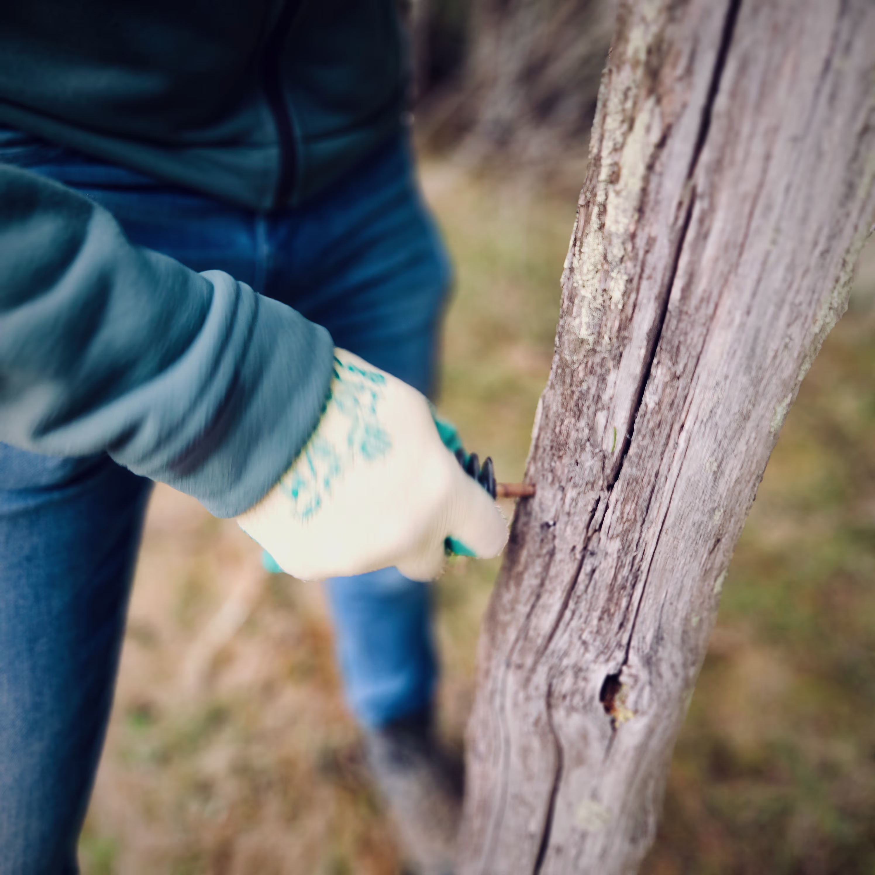 Business Transaction Volunteering Tag. Alp Embächli