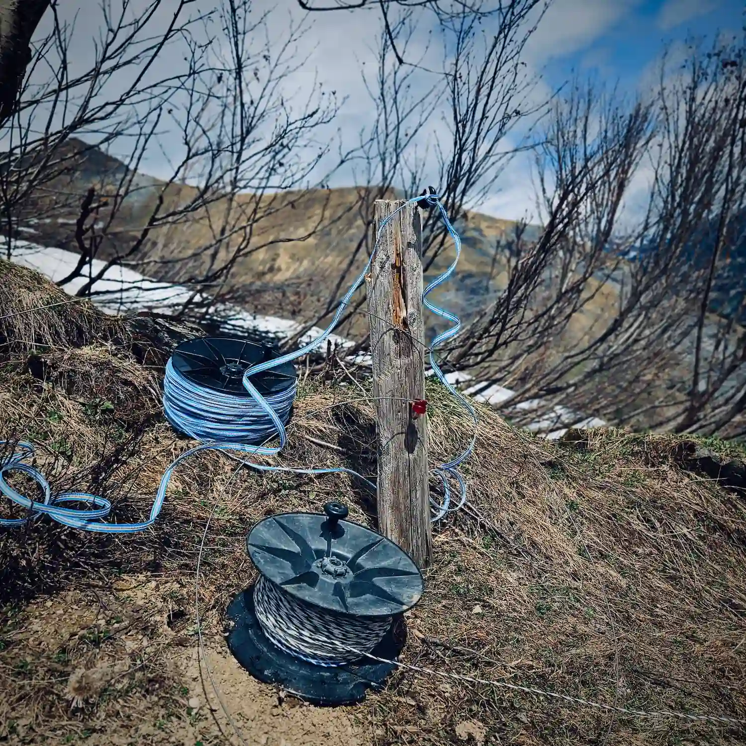 Business Transaction Volunteering Tag. Alp Embächli