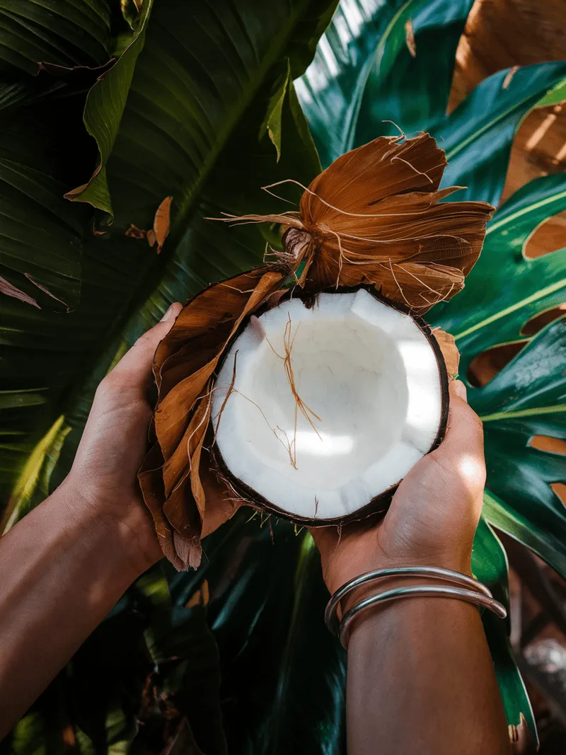 A person holding a coconut in their hands.