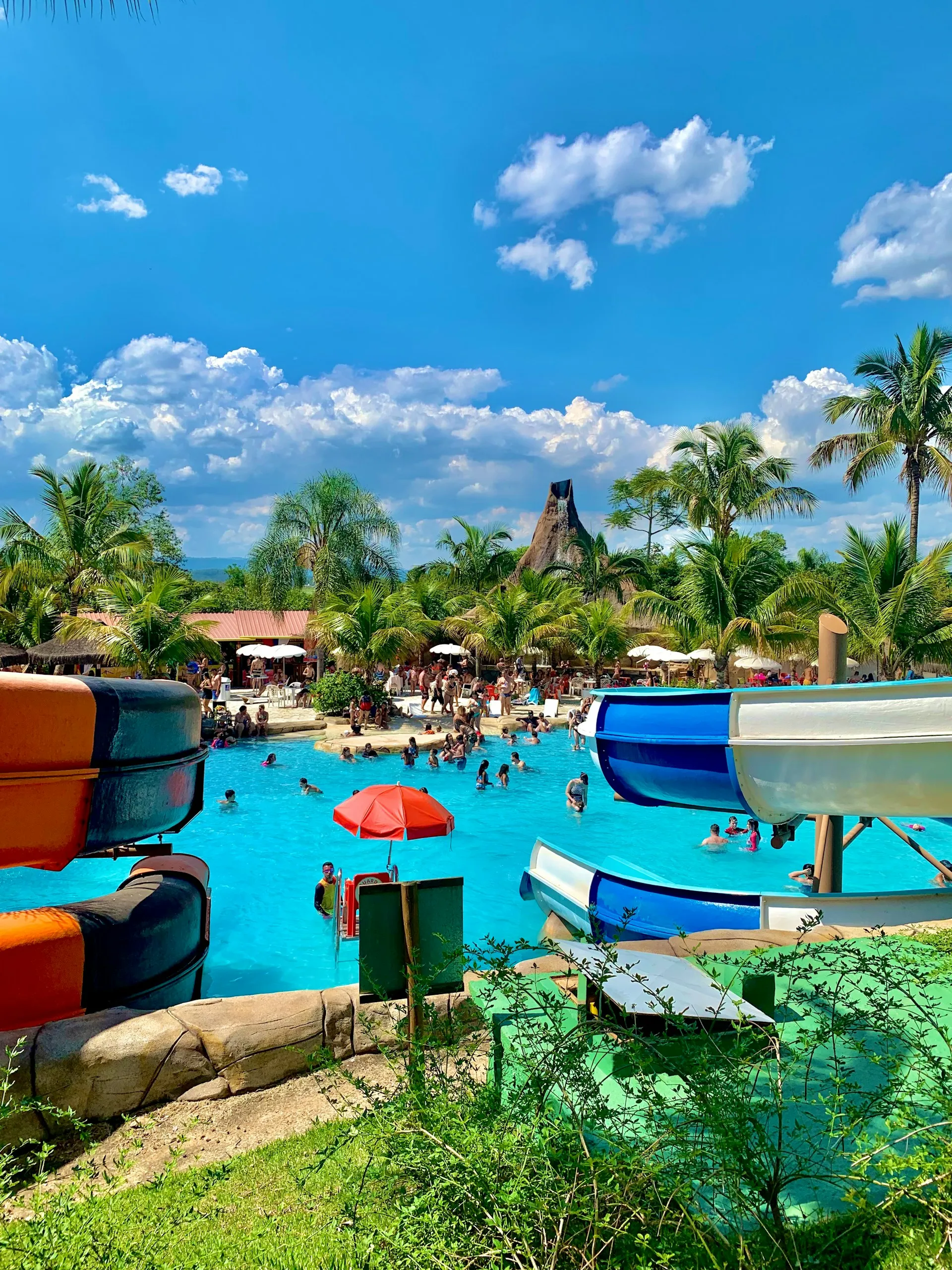 A large swimming pool surrounded by palm trees.