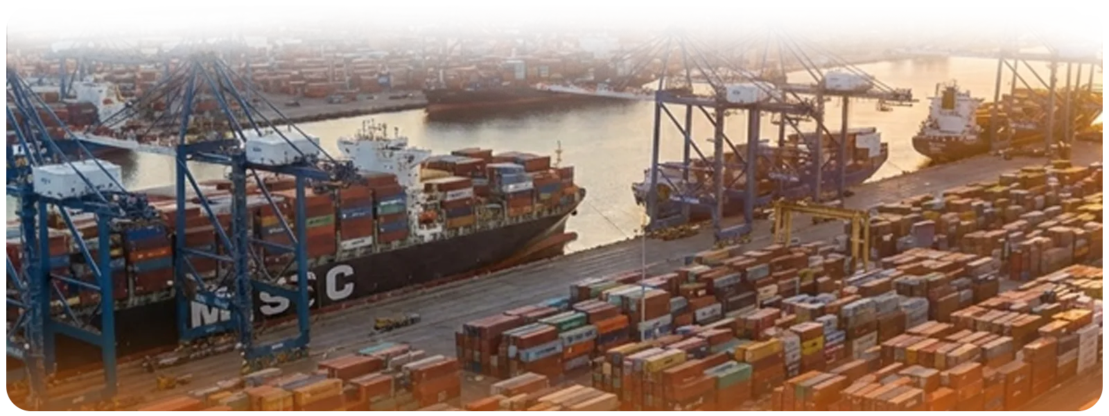 Busy terminal operations at the Port of Los Angeles, showing an MSC container ship being worked on by gantry cranes amidst towering stacks of intermodal containers.