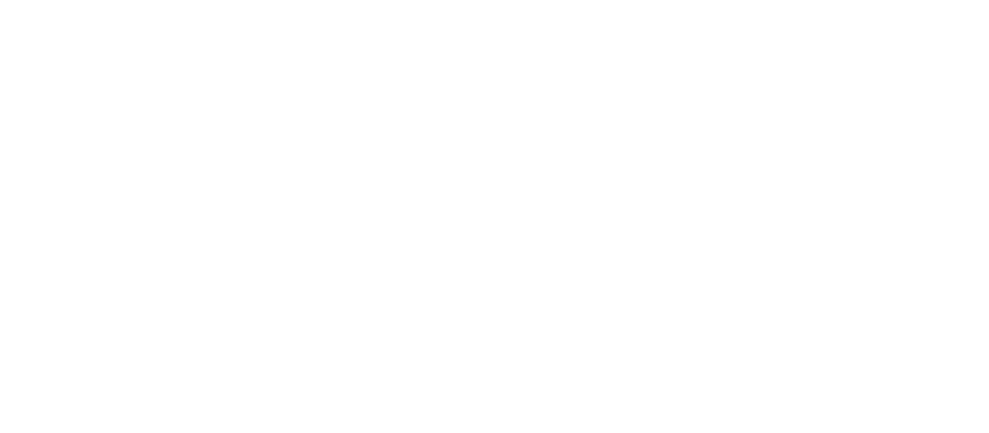 Maple Bloom International School logo