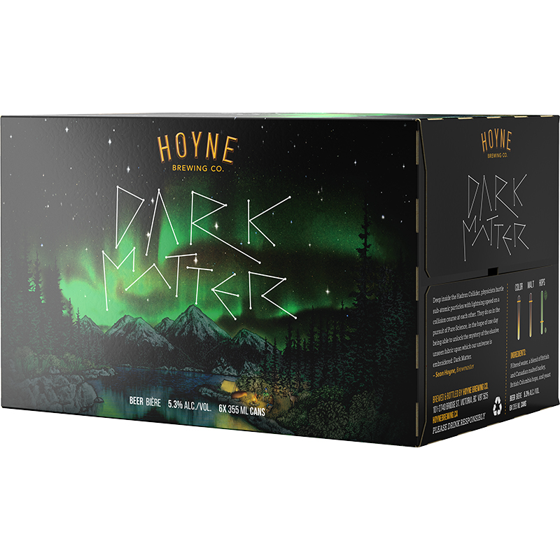 HOYNE BREWING - DARK MATTER CAN