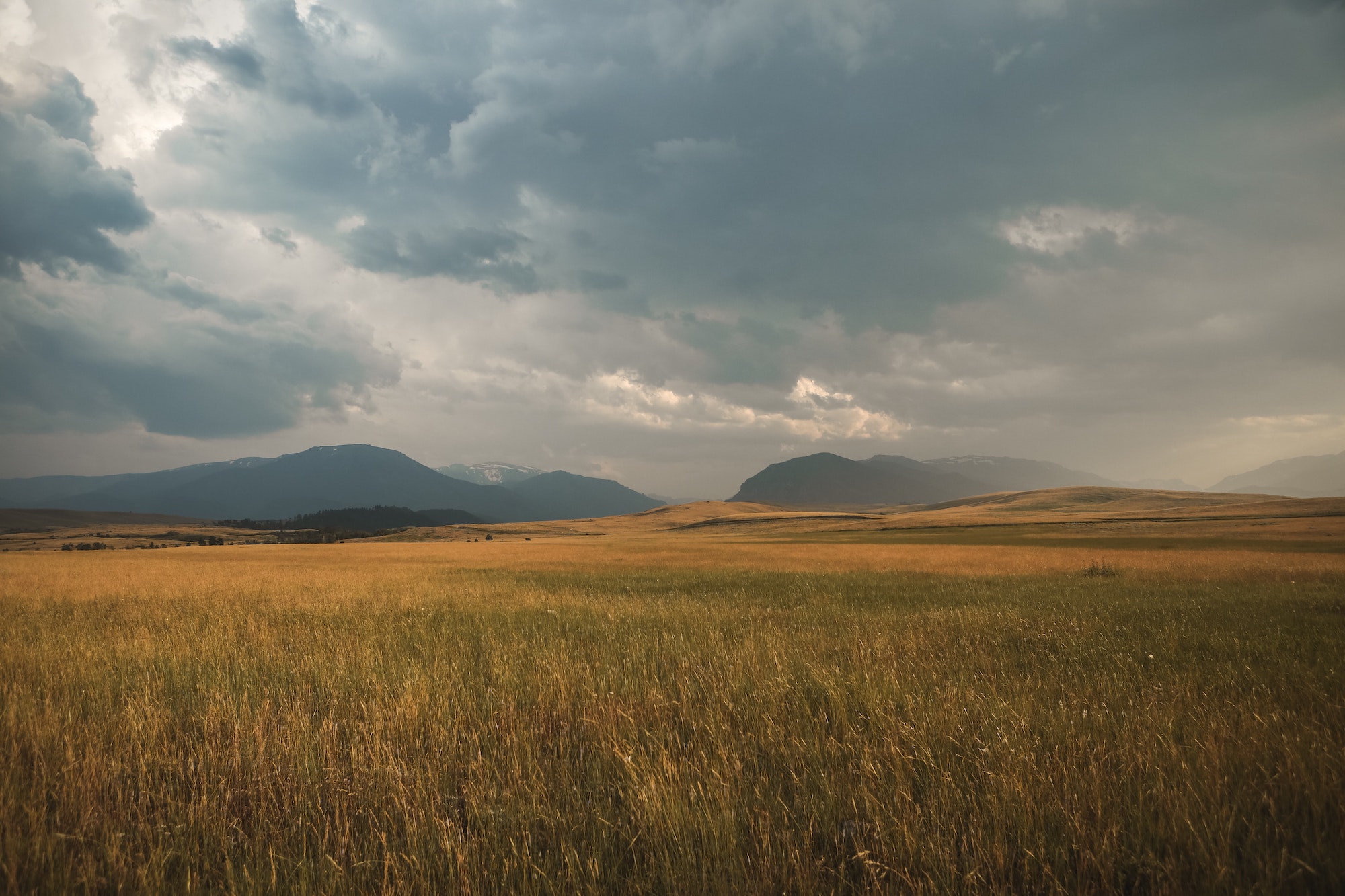 Stormy clouds brew over grassy plains with mountains on the horizon.