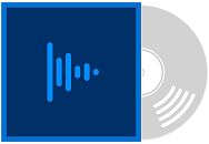 Pegatina personalizada para disco de vinilo