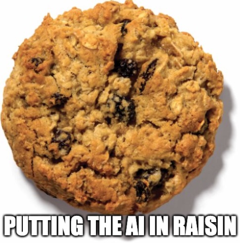 Oatmeal rAIsin