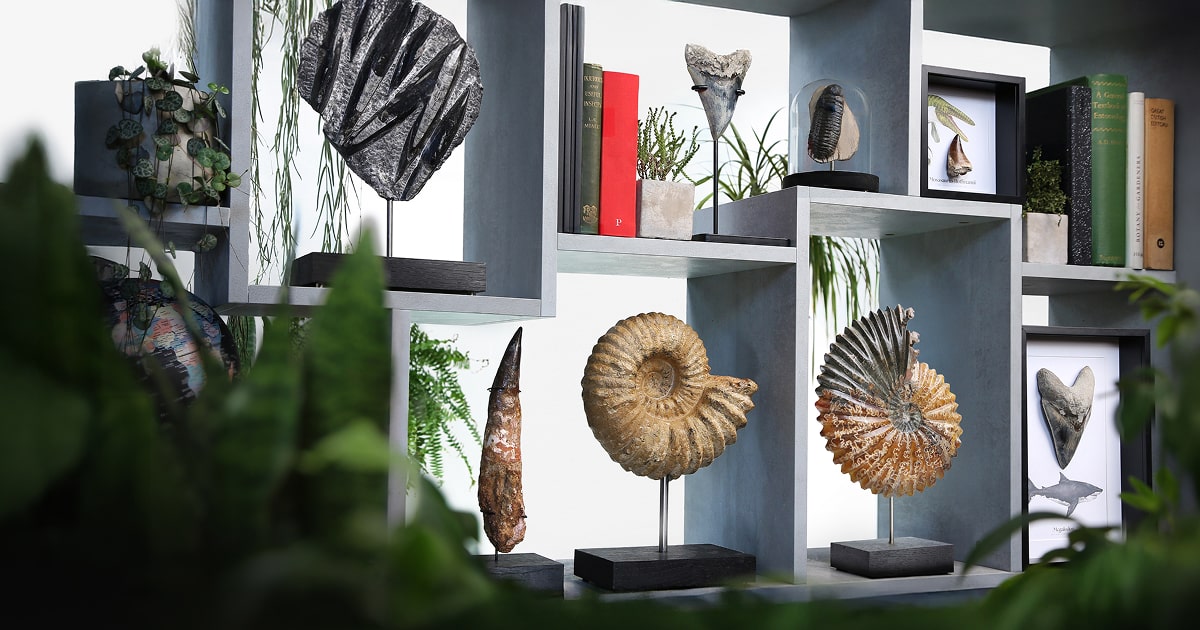 Open graph image, share image curated