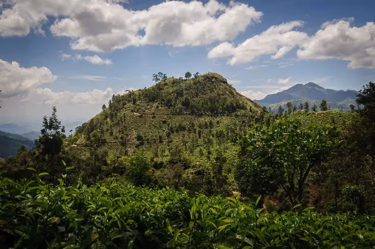Little Adam's Peak, Sri Lanka: localhi