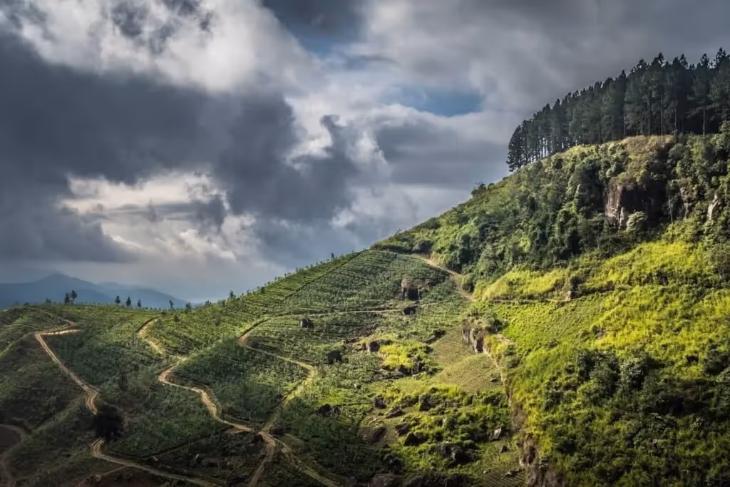Knuckles Mountain Range, Sri Lanka: localhi