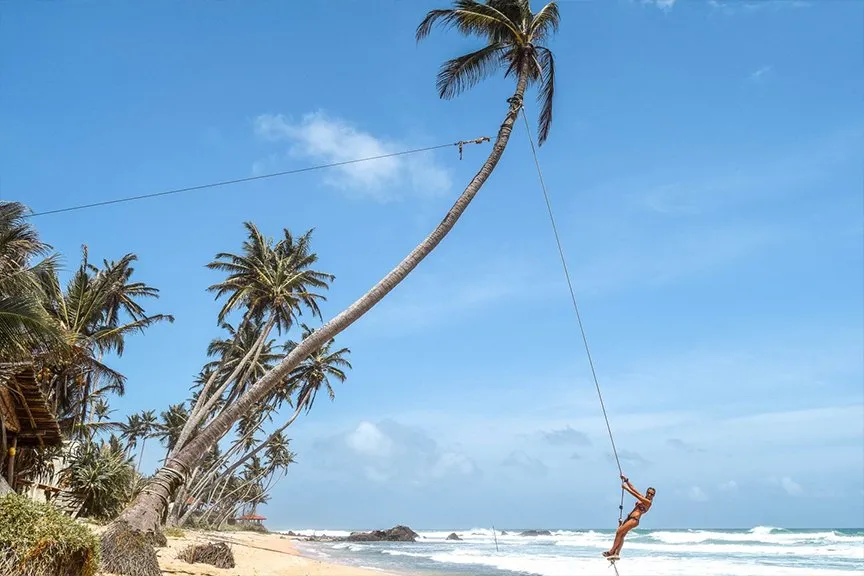 palm tree swing at Dalawella Beach, Ahangama, sri lanka: localhi