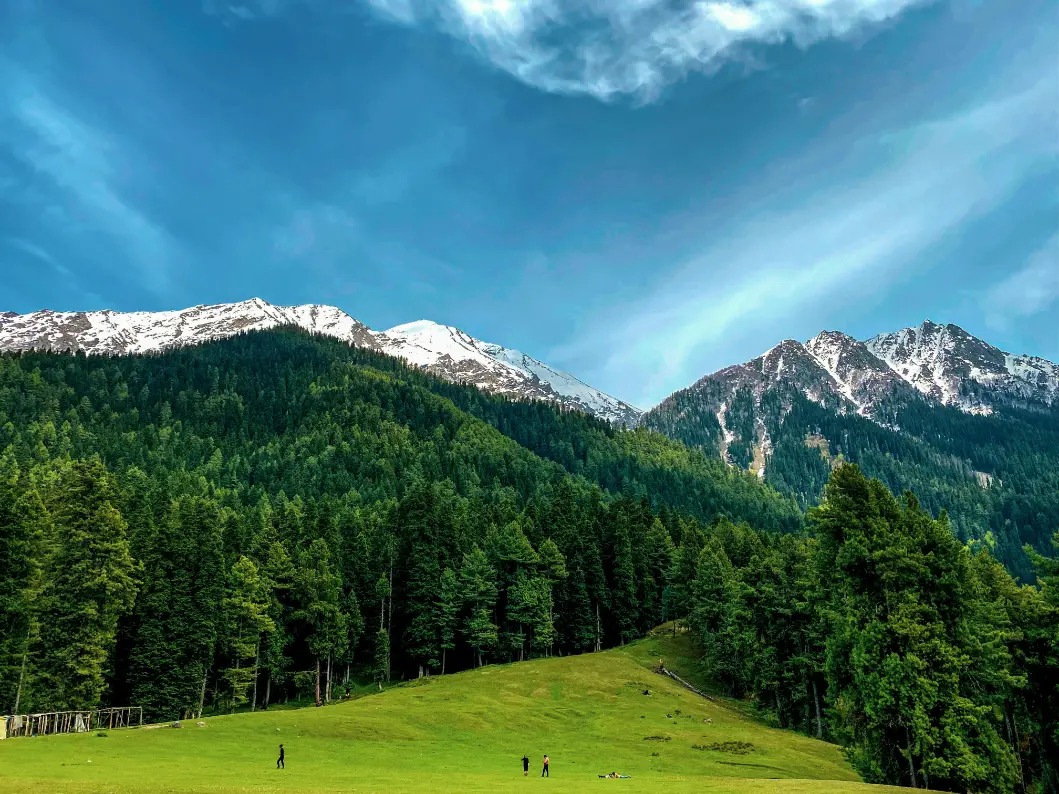 Pahalgam valley in Kashmir with mountains in the backdrop