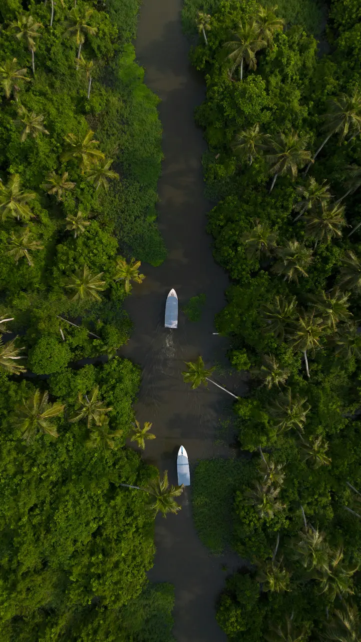 Aerial view of narrow backwater canal lined with lush palms and traditional boats in Kerala