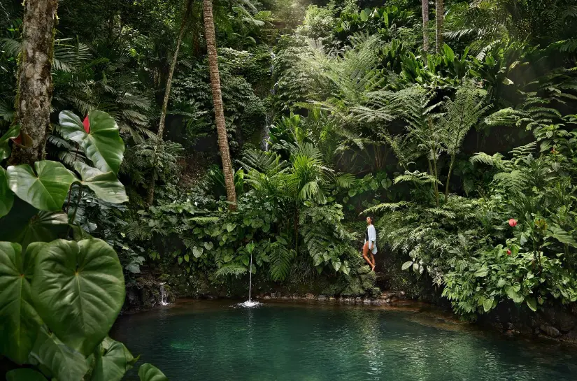 Vitality pool at COMO Shambhala Estate Bali — luxury wellness hotel LocalHi