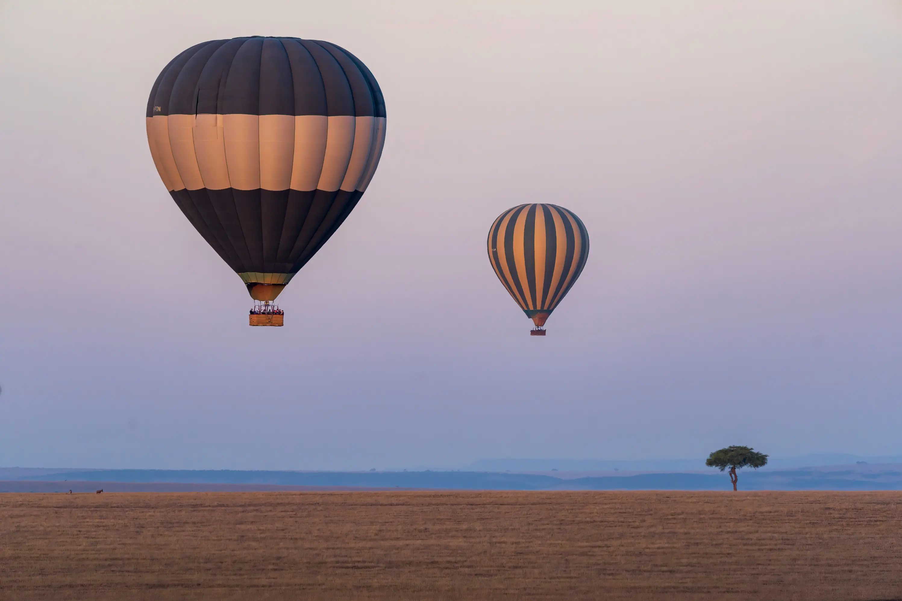 Aerial view Maasai Mara wildlife from hot air balloon Kenya