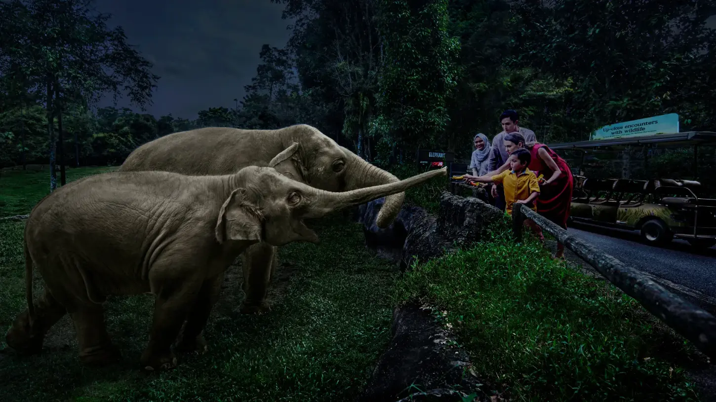 Creatures of the Night show Night Safari amphitheatre Singapore