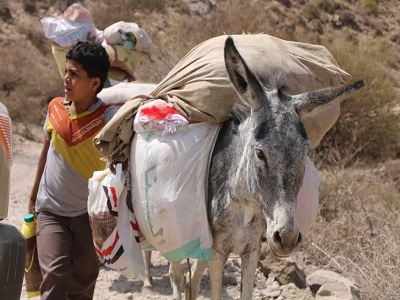 Ali… The Onion Picker