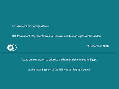 Lead on joint action to address the human rights crises in Egypt at the 46th Session of the UN Human Rights Council