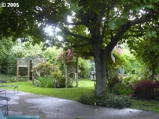 Backyard space before landscaping project